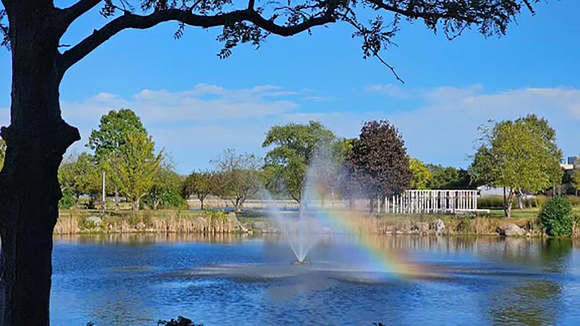 View of a pond with a fountain from the Conference Center.