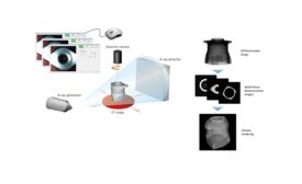 Looking Internally with Computed Tomography