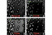 image morphology inspection